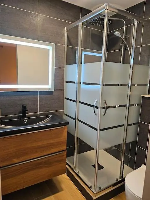 L'Ecrin Appartement 4 Chambres 4 Salles D Eau レ・デュー・アルプ 0*,  フランス
