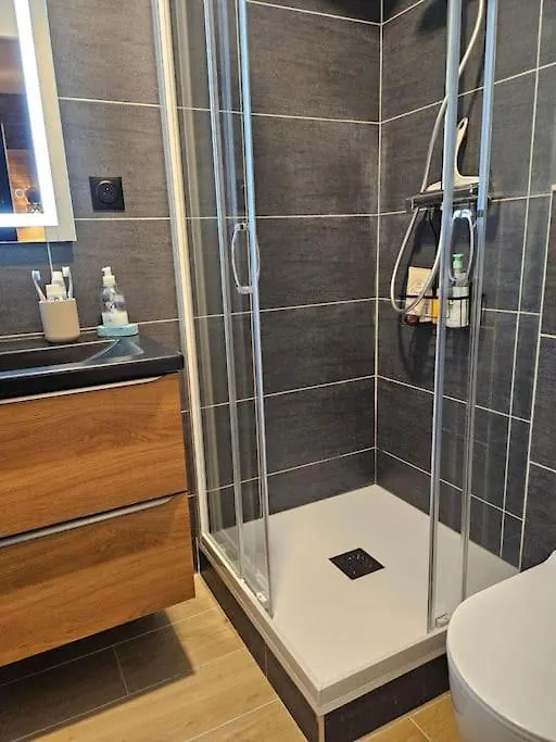 L'Ecrin Appartement 4 Chambres 4 Salles D Eau レ・デュー・アルプ フランス